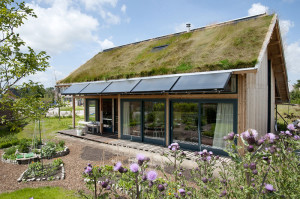 Woning-Dirksland-01